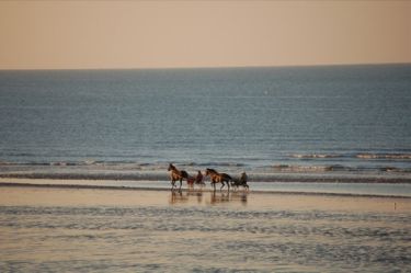 Vue de la plage de Cabourg